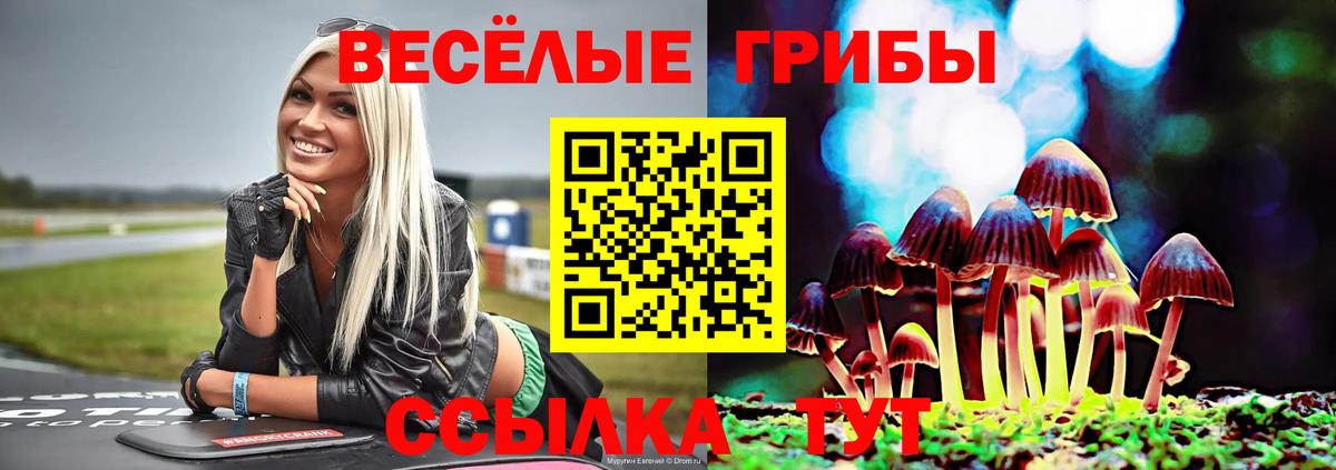 Галлюциногенные грибы мухоморы  Вход с VPN  Балахна 